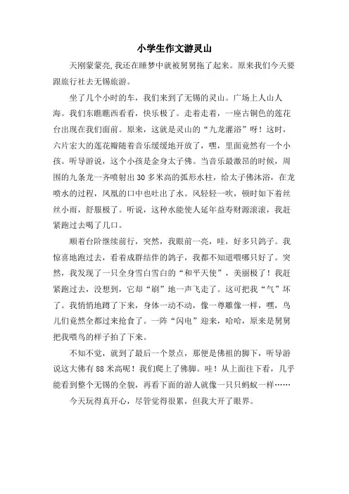 小学生作文游灵山