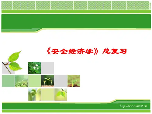 lyj-安全经济学——总复习