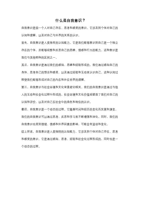 什么是自我意识？