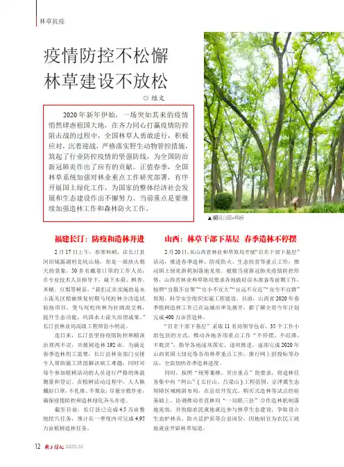 疫情防控不松懈 林草建设不放松