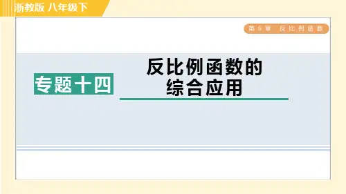 浙教版八年级数学下册第6章专题十四 反比例函数的综合应用