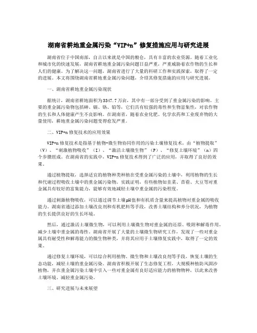 湖南省耕地重金属污染“VIP+n”修复措施应用与研究进展