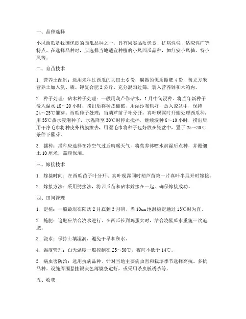 小凤西瓜种植管理技术要点