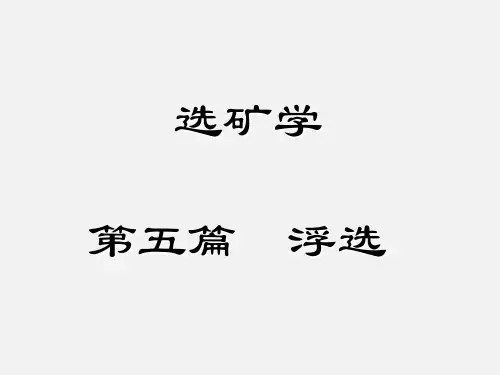 选矿学课件——第五篇 第一章 浮选基本概述