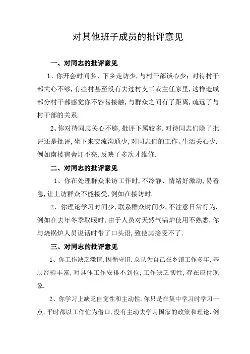 对其他班子成员的批评意见