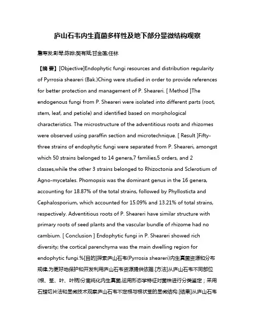 庐山石韦内生真菌多样性及地下部分显微结构观察