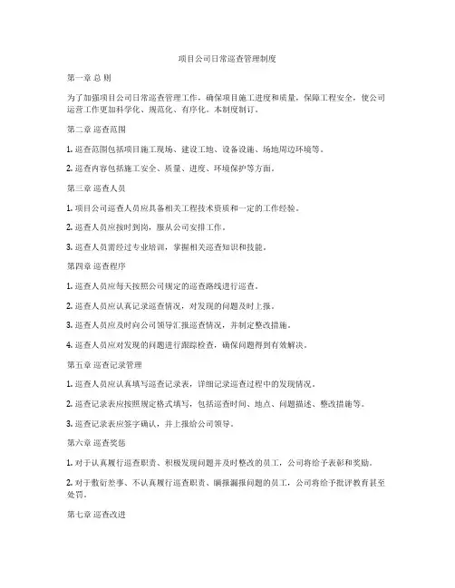 项目公司日常巡查管理制度