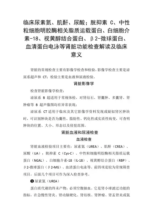 尿素氮、肌酐、视黄醇结合蛋白、β2-微球蛋白、血清蛋白电泳等肾脏功能检查解读及临床意义