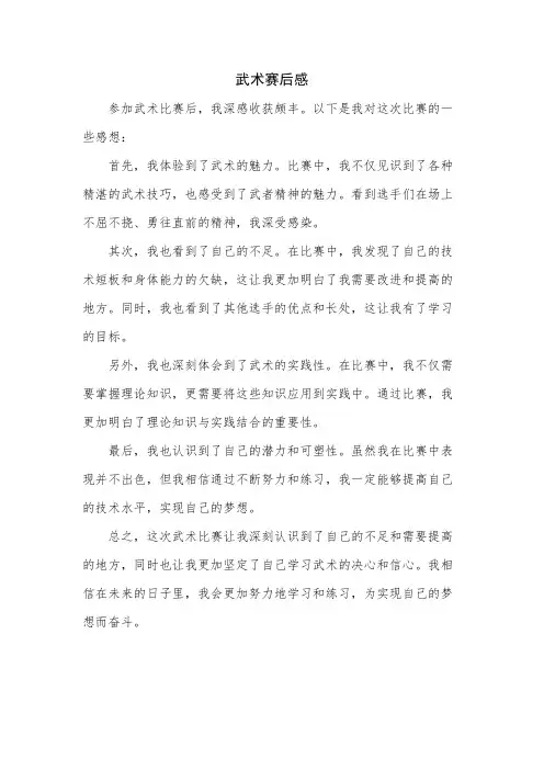 武术赛后感