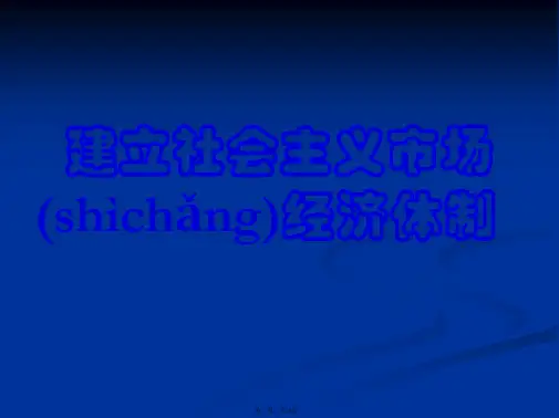 高二政治课件53建立社会主义市场经济的体制新选修2