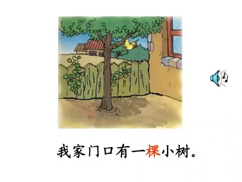 《爷爷和小树》