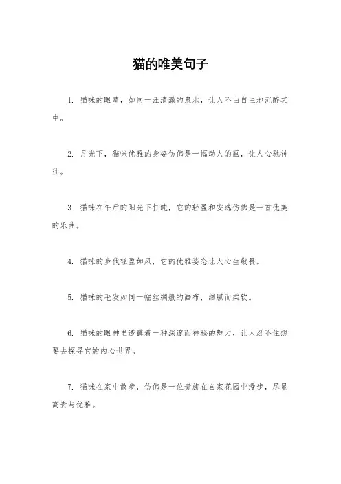 猫的唯美句子