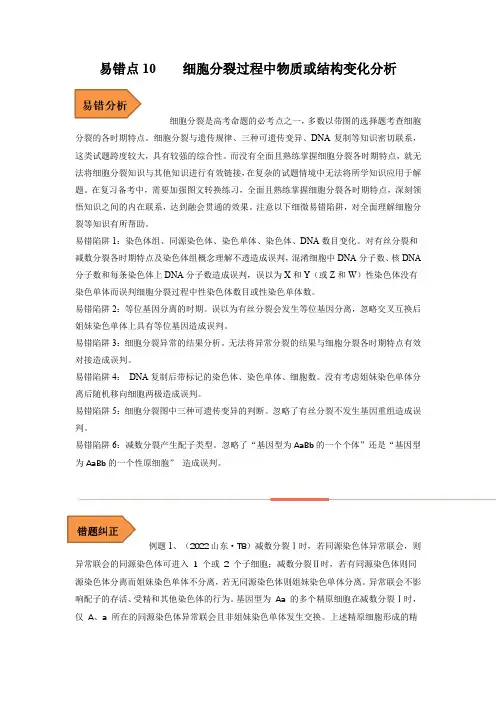 高考生物考试易错题易错点10 细胞分裂过程中物质或结构变化分析 (解析版)