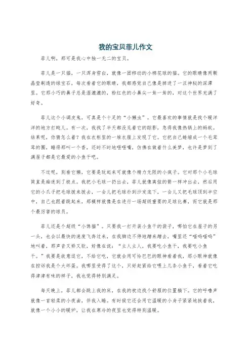 我的宝贝菲儿作文