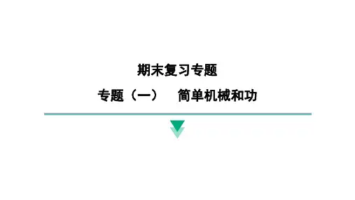 最新苏科版物理九年级上册期末复习专题(一) 简单机械和功 课件