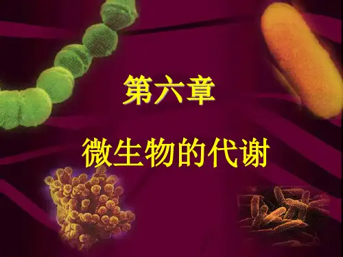 第十五单元——第五章微生物代谢(二)