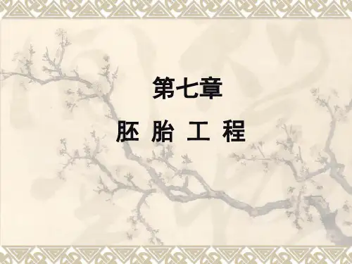 第七章  胚 胎 工 程