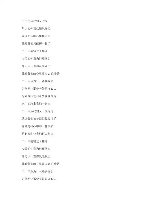 二十年文本歌词