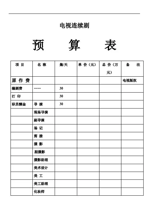 电视连续剧 预算表
