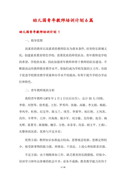 幼儿园青年教师培训计划6篇