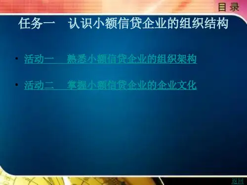 《小额信贷实务》电子教案 项目六 任务一