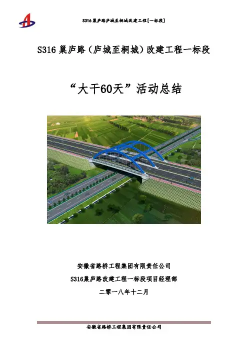 S316-01标“大干60天”活动总结