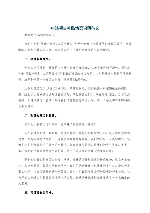 申请项目补贴情况说明范文
