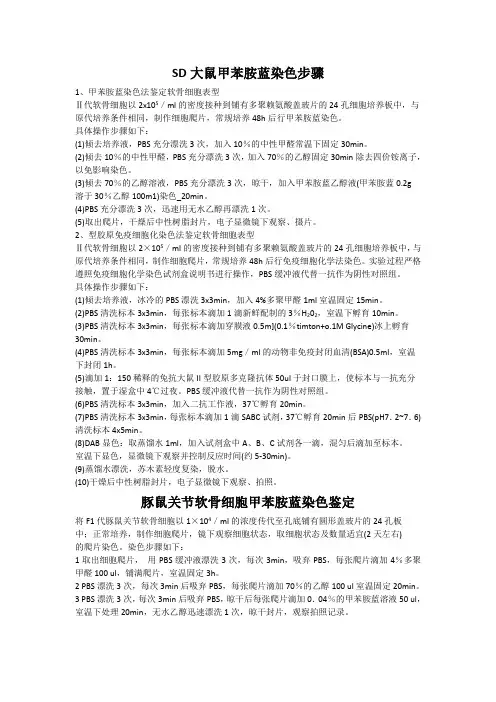 SD大鼠甲苯胺蓝染色步骤