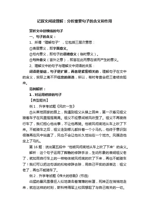 记叙文阅读理解：分析重要句子的含义和作用