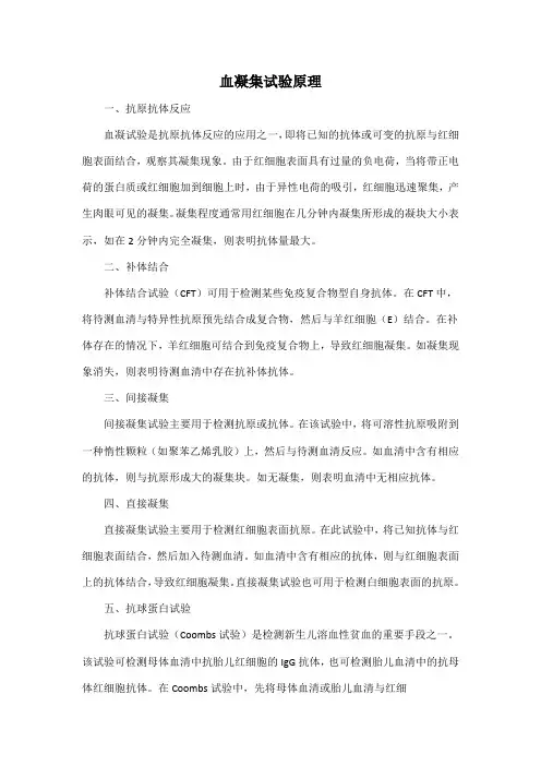 血凝集试验原理