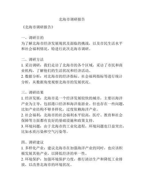 北海市调研报告
