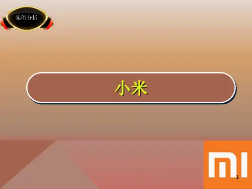 小米公司案例分析PPT精选文档