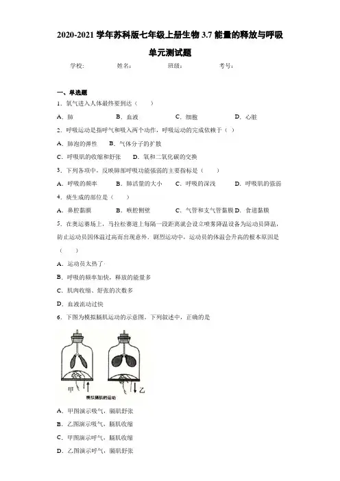 2020-2021学年苏科版七年级上册生物3.7能量的释放与呼吸单元测试题