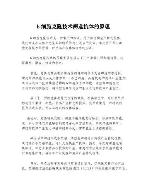 b细胞克隆技术筛选抗体的原理