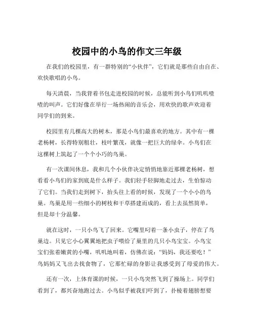 校园中的小鸟的作文三年级