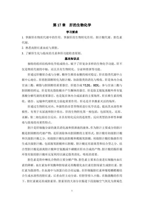 2022年医学院生化课知识点汇总-17章 肝生物化学