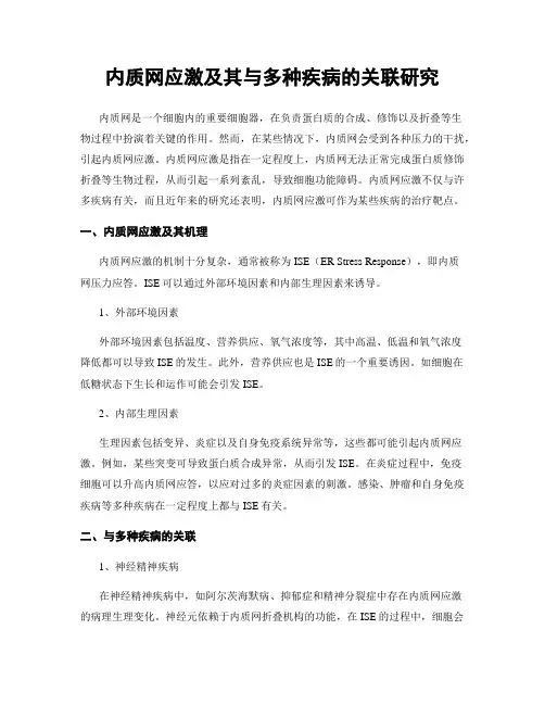 内质网应激及其与多种疾病的关联研究