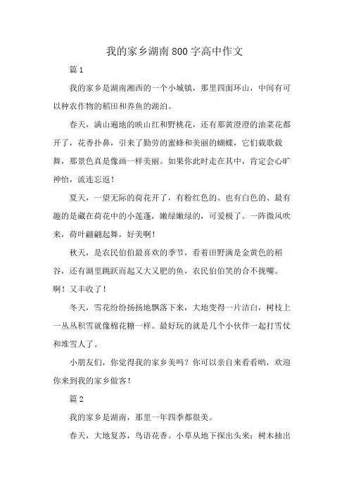 我的家乡湖南800字高中作文