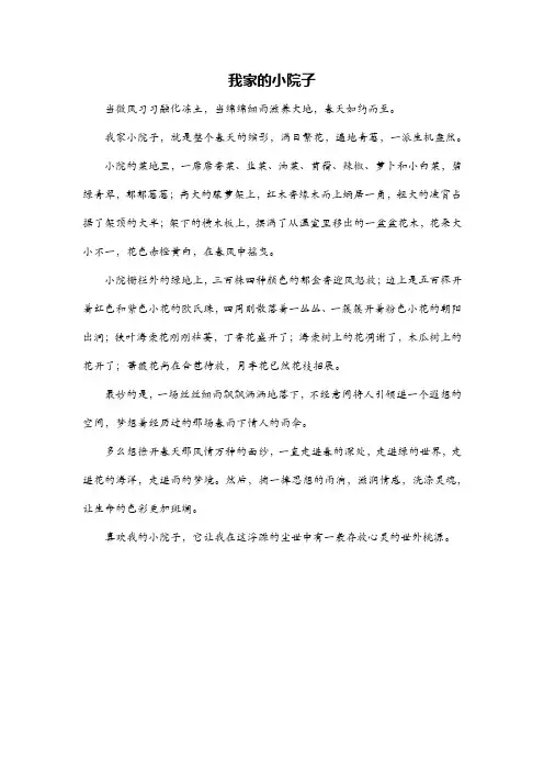 我家的小院作文300字左右