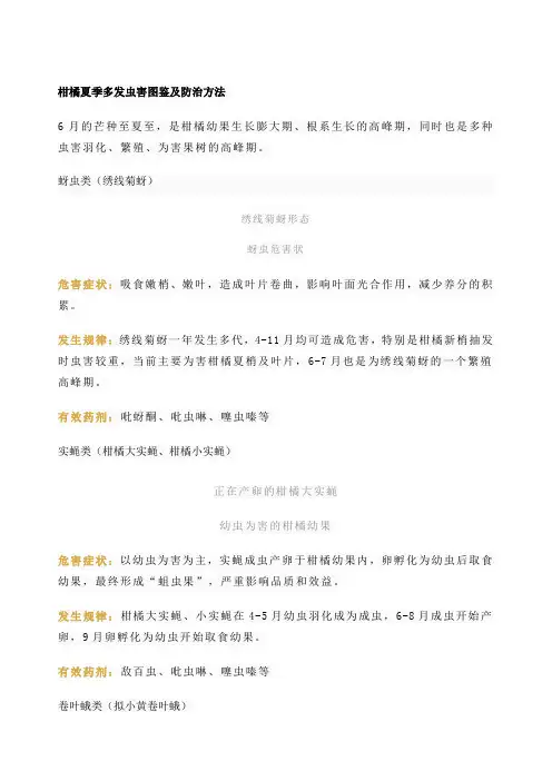 柑橘夏季多发虫害图鉴及防治方法