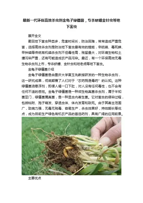 最新一代环保高效杀虫剂金龟子绿僵菌，专杀蛴螬金针虫等地下害虫