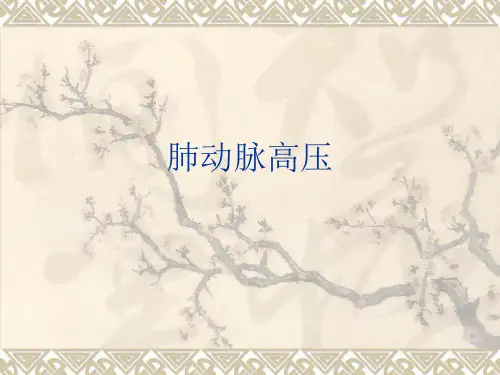 肺动脉高压超声诊断ppt