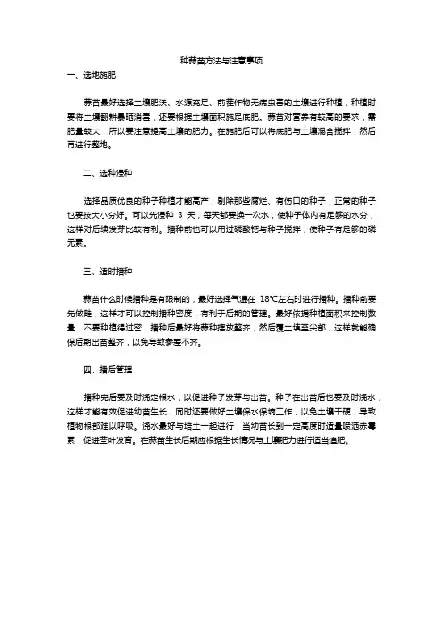 种蒜苗方法与注意事项