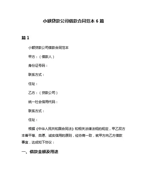 小额贷款公司借款合同范本6篇