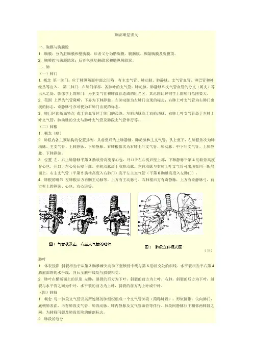 断层解剖