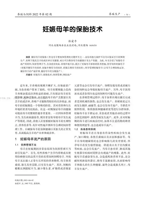 妊娠母羊的保胎技术