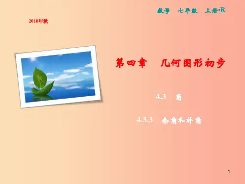 2019年七年级数学上册 第4章 几何图形初步 4.3 角 4.3.3 余角和补角课件  新人教版P