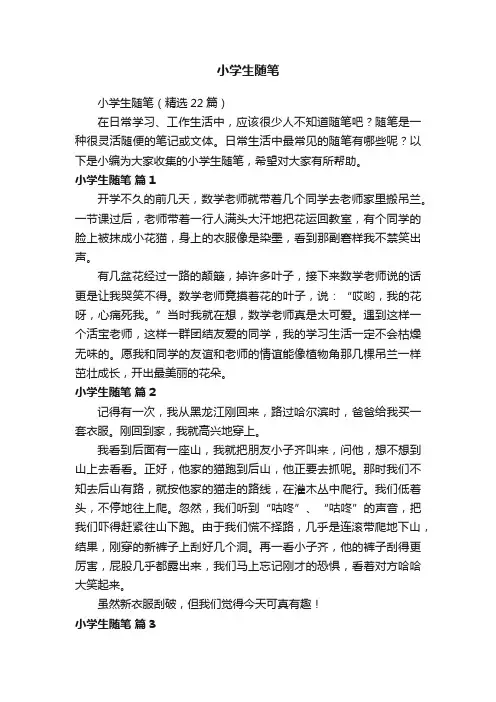 小学生随笔（精选22篇）