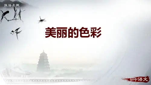 部编版八年级上册语文《美丽的颜色》PPT教学电子课件