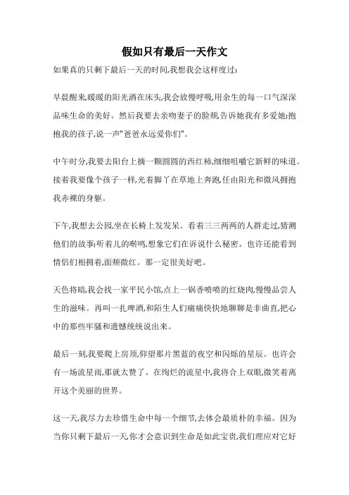 假如只有最后一天作文